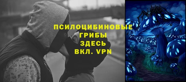 спиды Осташков