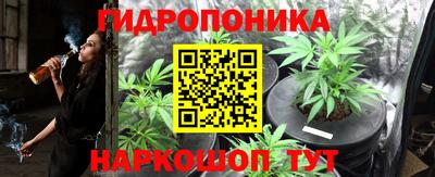 стаф Ярославль