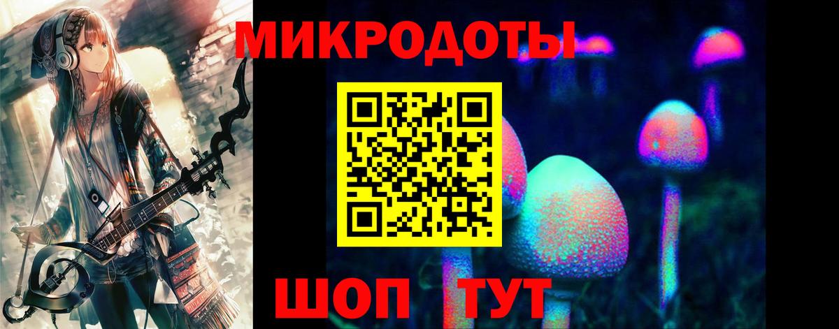 закладка  Вход с VPN  Альметьевск  Псилоцибиновые грибы Psilocybe 