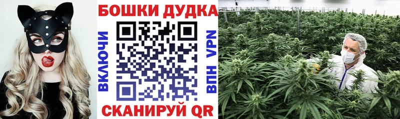 Канабис OG Kush Альметьевск